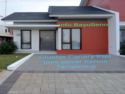 Rumah baru cluster Canary DP.18x cicil jaya group