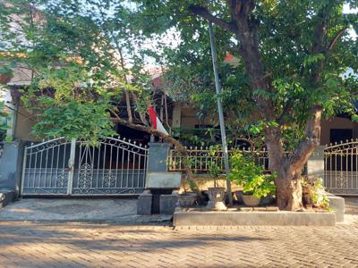 Rumah Dijual Murah Pusat Kota Belakang Plaza Marina Surabaya Bisa Nego