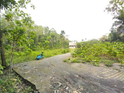 Tanah Jogja Murah Area Panjatan Kulon Progo