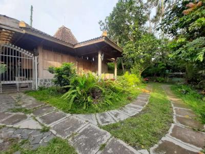 Jual Rumah Joglo Limasan , Full Kayu Jati Luas 1000 Meter, Jakal