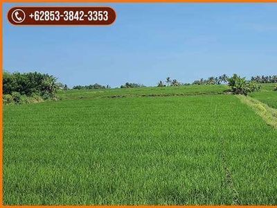 1,3 Hektar Tanah Pinggir Jalan Provinsi Denpasar - Gilimanuk