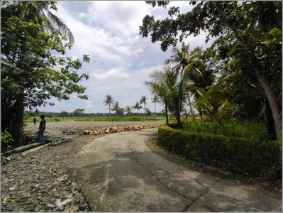 Dekat Bandara YIA Jogja, Tanah Wates Kulon Progo