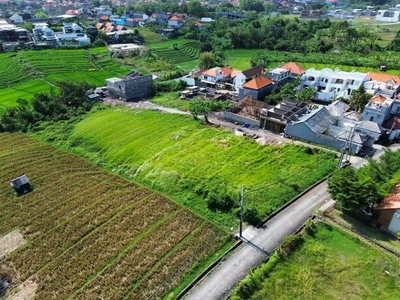 di sewakan tanah 40are di jln abasan Pantai Berawa canggu