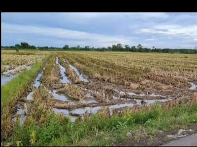 Dijual tanah di jalan Padat Karya, Sampali, Kec. Percut, Deli Serdang