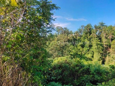 Dijual Tanah Di Ubud los sungai Wos View Sungai Wos