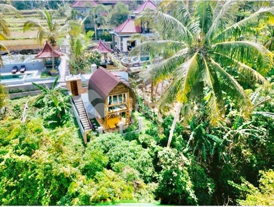 Disewakan Rumah Lokasi Strategis di Ubud, Bali