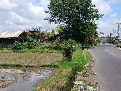 Disewakan Tanah 1800 M2 Area Mengwi Badung Bali
