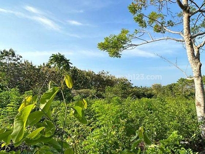 Do 172 For Rent Tanah Komersial di Kawasan Nusa Dua Badung Bali