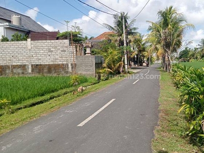 FREEHOLD Land with beautiful Ricefield view suitable for building at Mas Village Ubud
