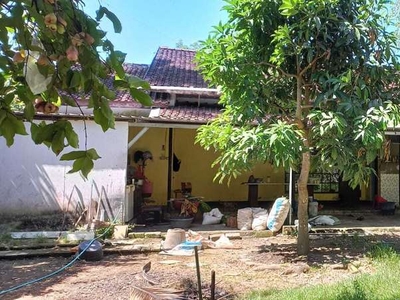 JUAL Tanah 3 JUTAAN, BONUS Bangunan, Jogja Kulon Progo