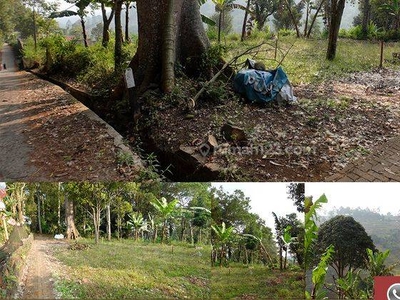 Jual Tanah Kavling di Dago Lembang Bandung Luas 4.427 M2 View Hutan Raya Djuanda