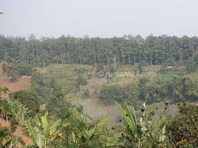Jual Tanah Kavling di Dago Lembang Bandung Luas 7,5ha M2 Bisa Beli Sebagian