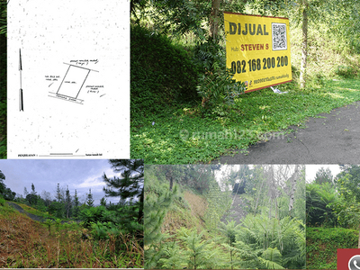 Jual Tanah Kavling di Dago Lembang Bandung View Forest Sejuk