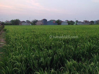 Kavling Luas di Karawang Tepi Jalan Siliwangi