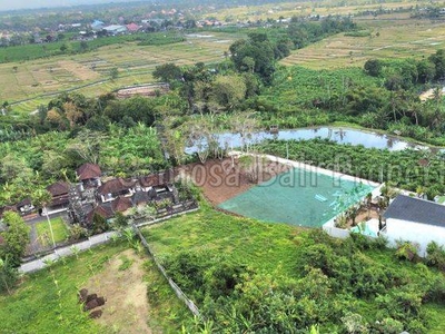 Land For Lease In Buduk , Munggu, Badung Villa Environment