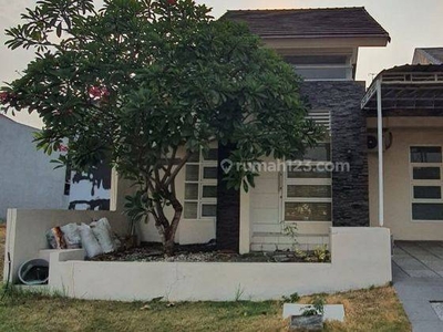 Rumah Citraland Minimalis Lingkungan Nyaman Siap Huni Di Bukit Telaga Golf Surabaya Barat