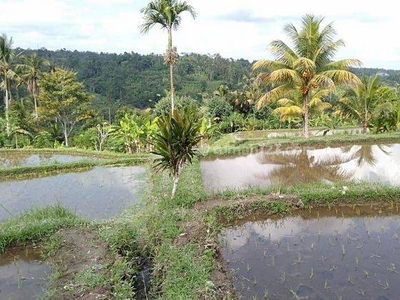 Tanah cantik dan langka di buahan