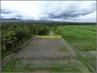 Tanah Dekat Kampus UAD 6 Wates Kulon Progo, SHM Per Unit