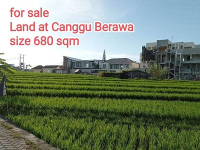 tanah di berawa, tanah di canggu view sawah