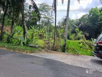 Tanah Dijual Murah View Sungai, di Tegal Alang Ubud