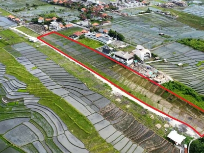 Tanah Disewakan View Sawah Di Cemagi Mengwi dekat Canggu Seseh Nyanyi