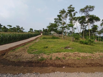 Tanah Kavling Murah Paling Laris di Tanjungsari Sumedang