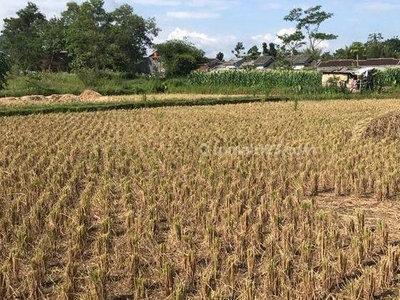 Tanah Luas di Jalan Parigi Dekat Pintu Tol Sumedang