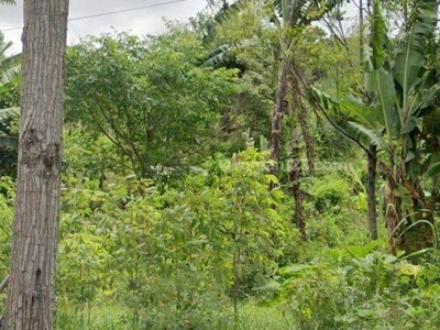 Tanah Luas View Keren di Punclut Ciumbuleuit Bandung