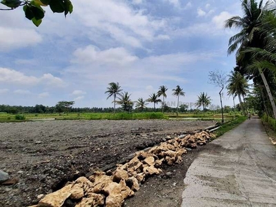 Tanah Murah Cocok Bangun Kost, 5 Menit Kampus 6 UAD Wates
