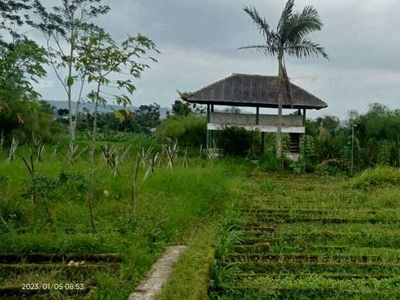 Tanah Murah dan ada kebun di daerah Cipanas Cianjur Bogor Jabar