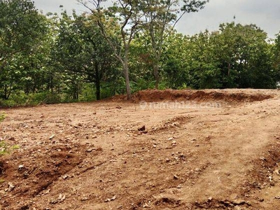 Tanah Nempel UNNES di Cempakasari Sekaran Gunungpati SHM