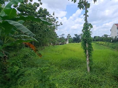 Tanah Pekarangan 1700 Meter Persegi Cocok Untuk Perumahan Ngestiharjo