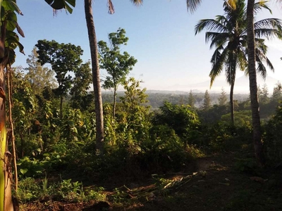 TANAH PEKARANGAN NYAMAN U/ VILLA DEKAT PUNCAK BIBIS VIEW KOTA.JK11196