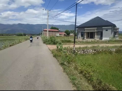 Tanah rumah/ruko luas 515.Meter jalan utama gampong kaye le lambaro