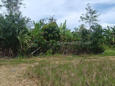 TANAH VIEW SAWAH KEREN COCOK KOMPLEK VILLA