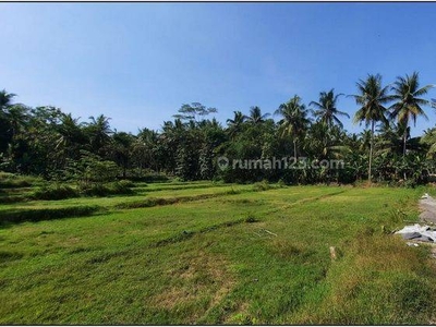 90 Juta Aja, Tanah Murah Jogja Dekat Exit Tol Wates