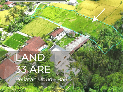 Dijual Tanah Hak Milik Seluas 33 Are Dekat Sentral Ubud di Peliatan Ubud Bali.