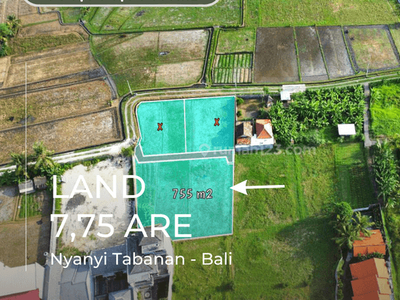 Dijual Tanah Kavling 7,55 Are Tersisa 1 Plot Saja di Pantai Nyanyi Dekat Tanah Lot Bali.