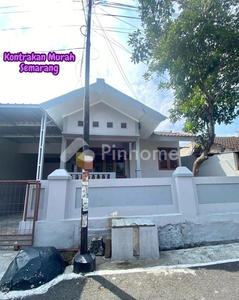 Disewakan Rumah Bagus di Jl. Kedungmundu Rp40 Juta/tahun | Pinhome