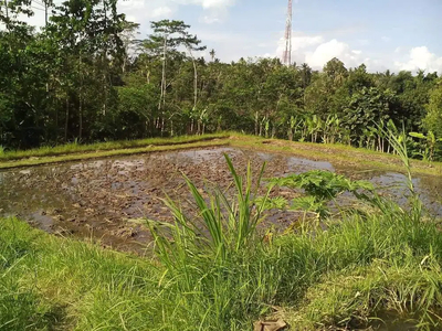 A25 Jual Tanah Untuk Wisata Termurah di Gianyar Dekat Ubud Bali