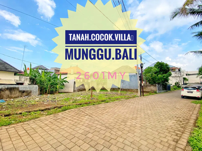 Jual Tanah cocok Vila Munggu canggu Bali