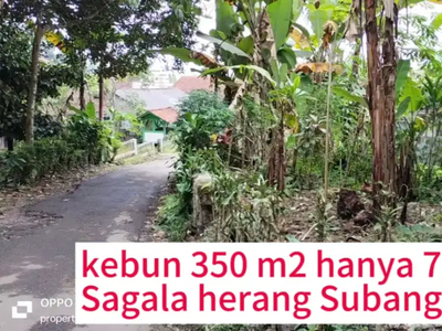 Kebun 350 m2 Hanya 75jt Sagala herang Subang