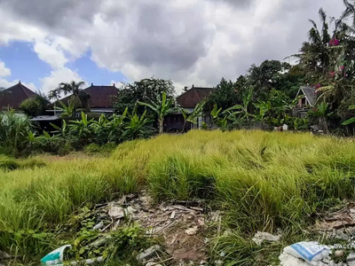 LAND FOR SALE FREEHOLD IN BALI CANGGU PADANG LINJONG - VB245