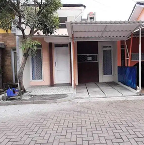 Rumah bagus siap huni di Pinus regency 600 jt an, jarang ada