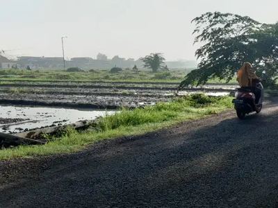 SAWAH dekat perumahan. O jalan aspal. area berkembang