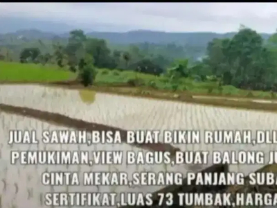 Sawah subur 1.022 m2 / 73 tumbak SHM