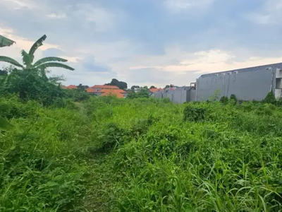 Tanah kayu tulang canggu