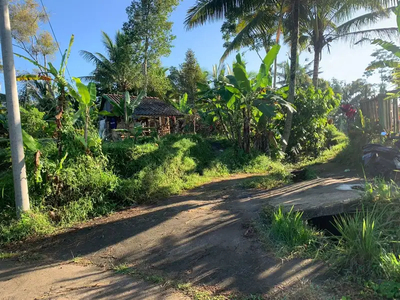 tanah kebun view sawah