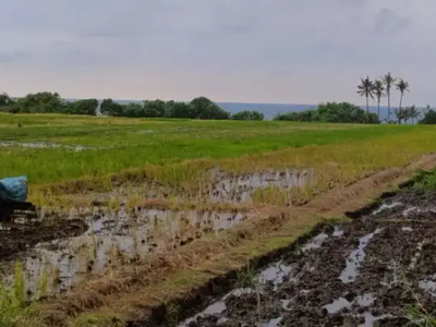 Tanah los pantai pasut tabanan bali.