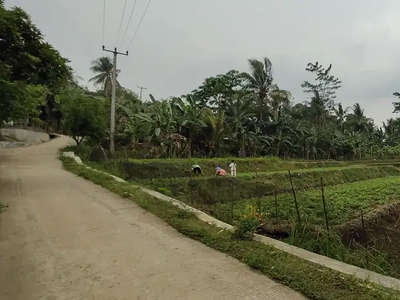 Tanah Murah di Ligarmukti Klapanunggal Bogor